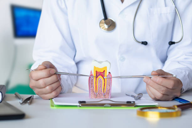 Best Emergency Gum Treatment in Montgomery, OH